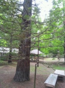 大阪の若手税理士☆田淵宏明のBLOG!!